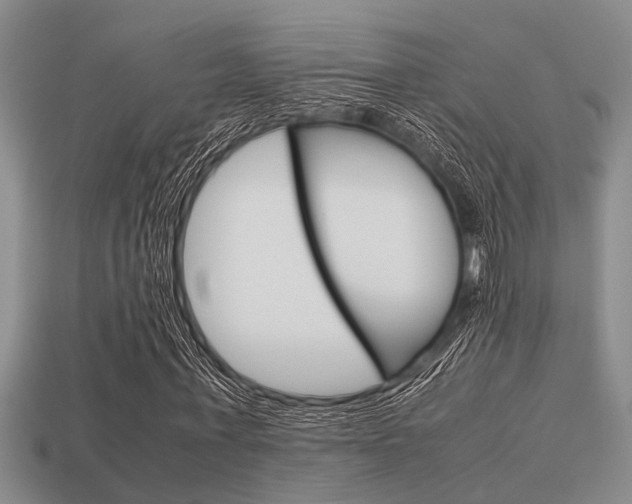 X0000113590771200909181047