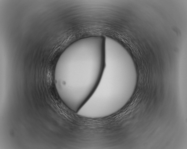 X0000113590772200909181047