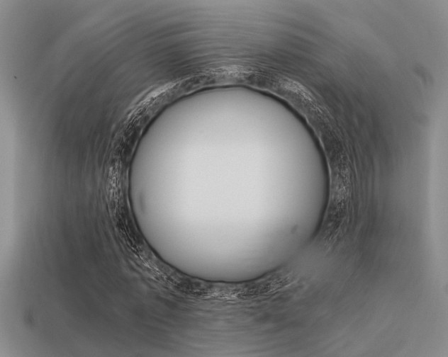 X0000113590773200909181047
