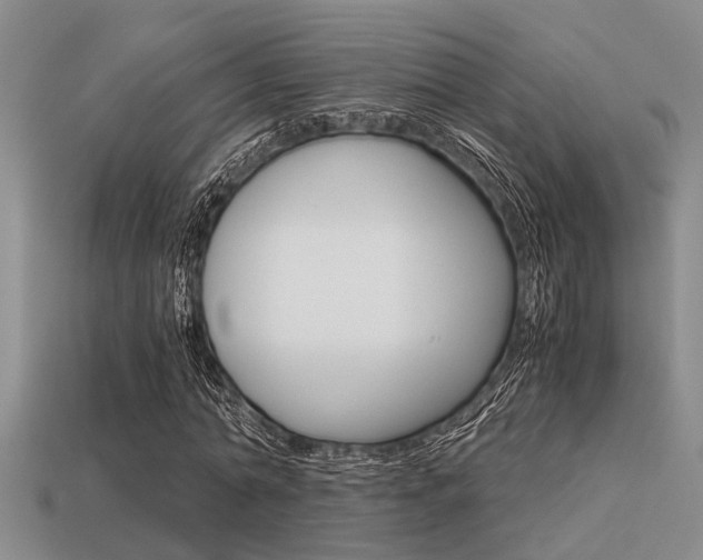 X0000113590774200909181047