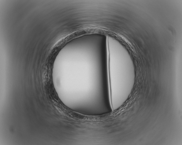 X0000113590775200909181047