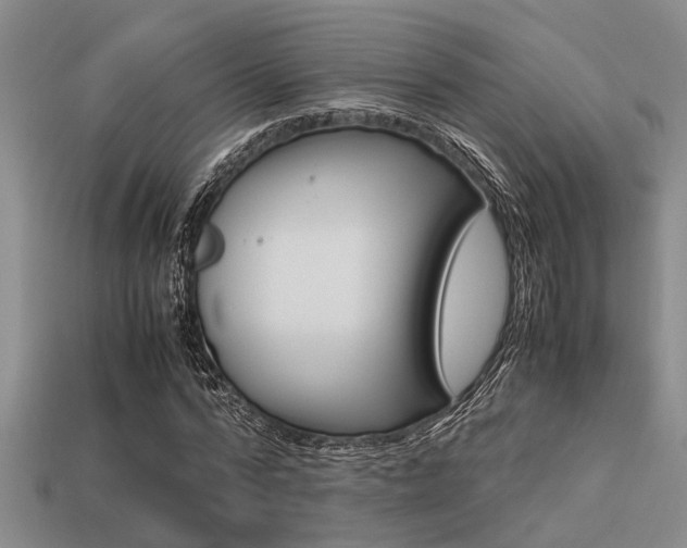 X0000113590776200909181047