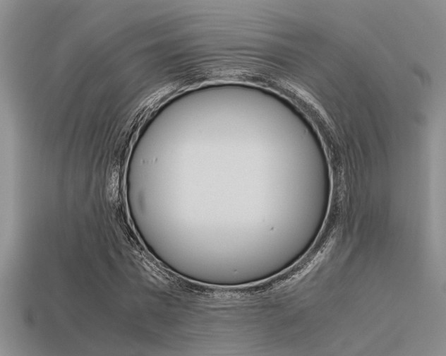 X0000113590777200909181047