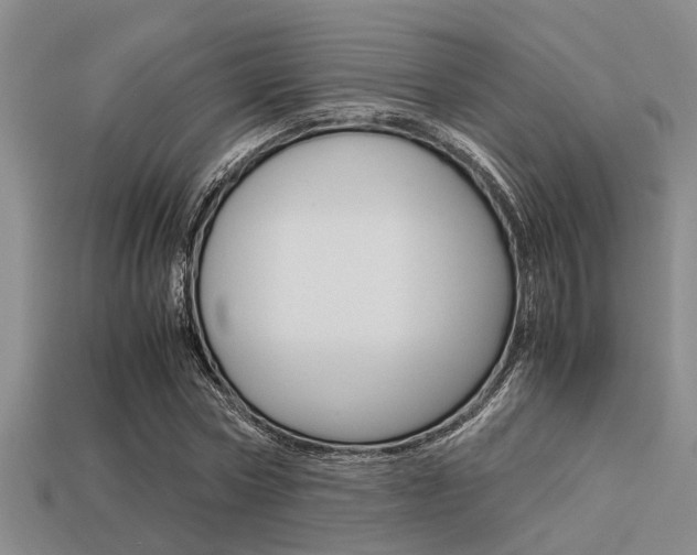 X0000113590778200909181047