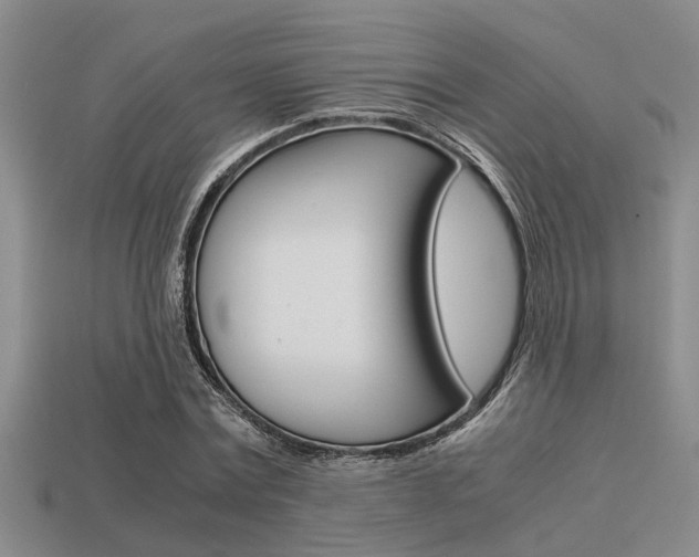 X0000113590779200909181047