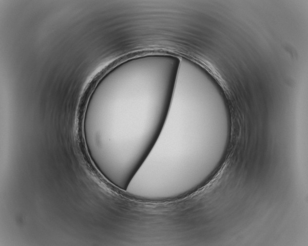X0000113590780200909181047