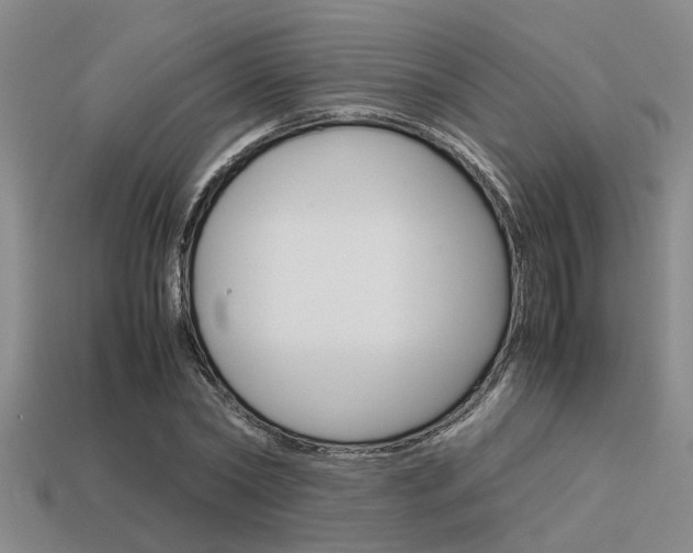 X0000113590782200909181047