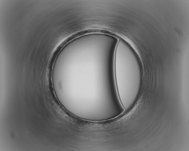 X0000113590783200909181047