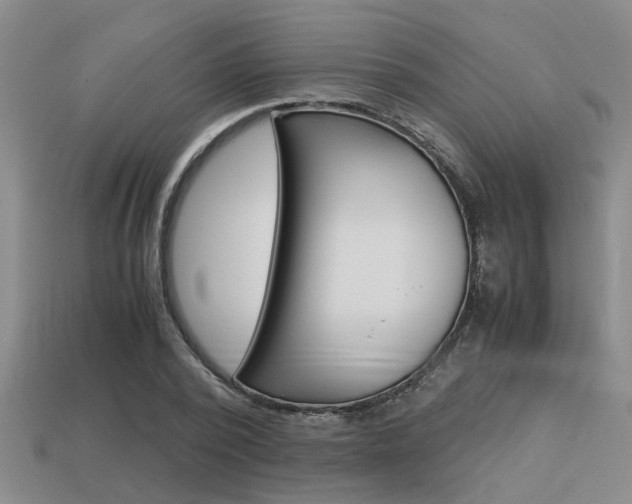 X0000113590784200909181047