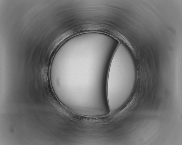 X0000113590786200909181047