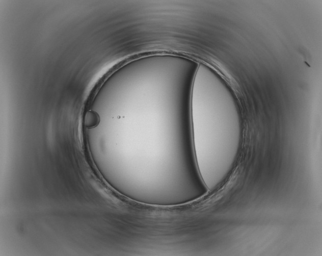 X0000113590788200909181047