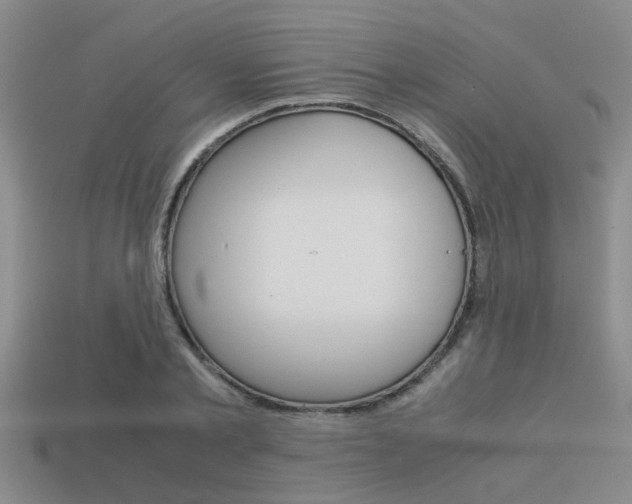 X0000113590789200909181047