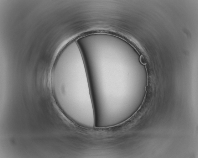 X0000113590791200909181047