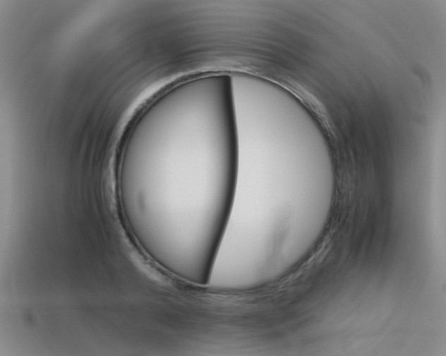 X0000113590792200909181047