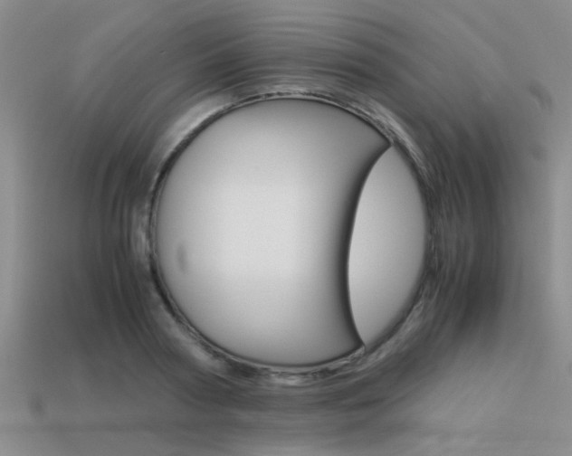 X0000113590794200909181047