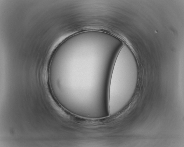 X0000113590795200909181047