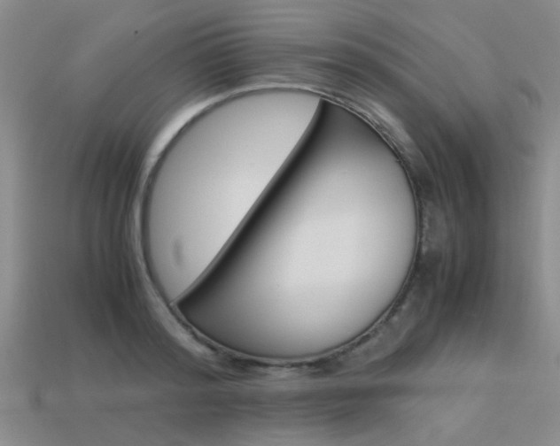 X0000113590796200909181047