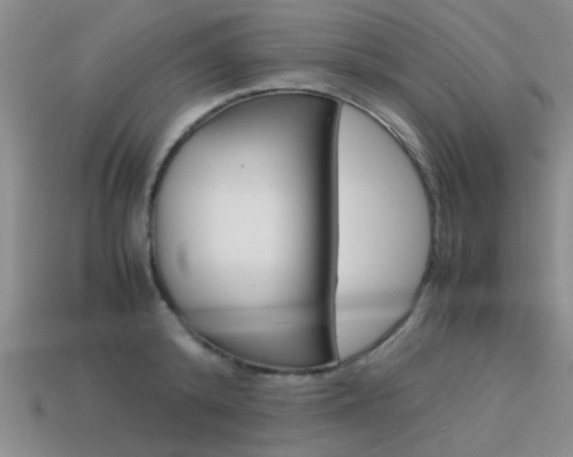 X0000113590800200909181047