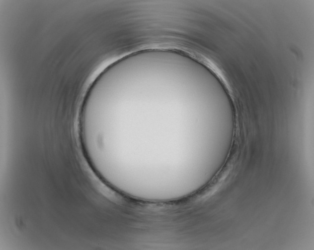 X0000113590803200909181047