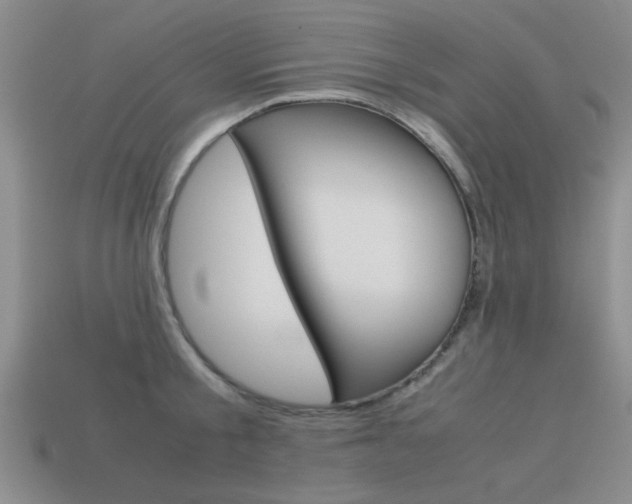 X0000113590805200909181047