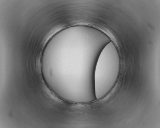 X0000113590806200909181047