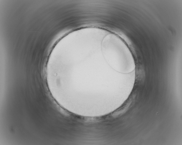 X0000113590807200909181047
