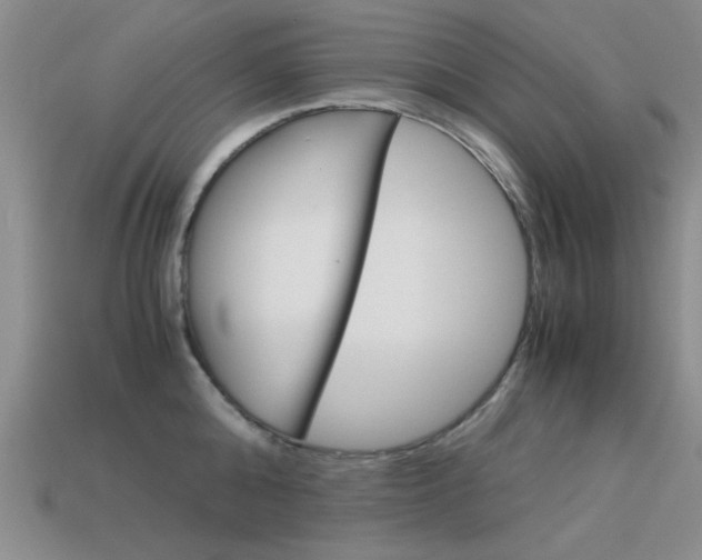 X0000113590808200909181047