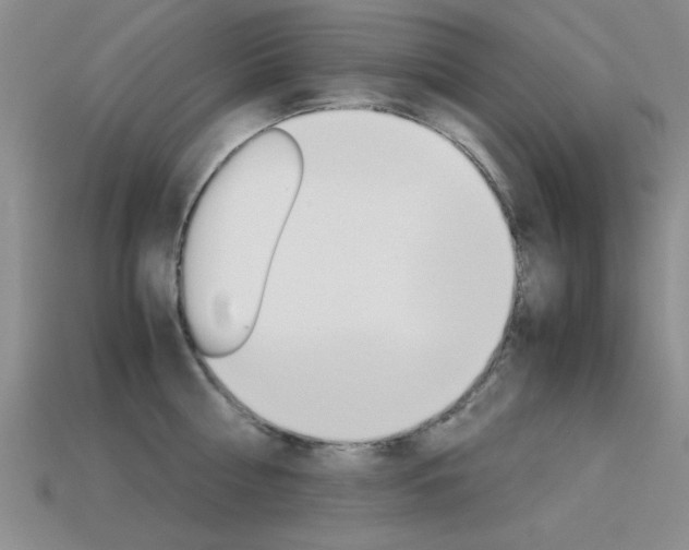 X0000113590810200909181047