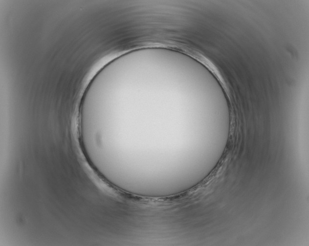 X0000113590811200909181047