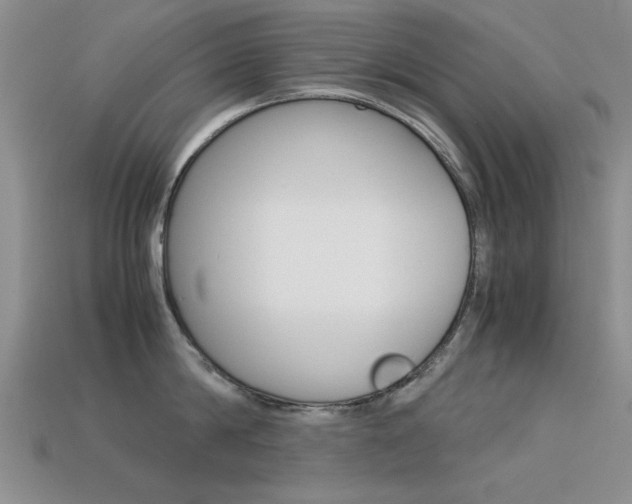 X0000113590814200909181047