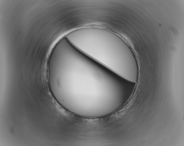 X0000113590816200909181047