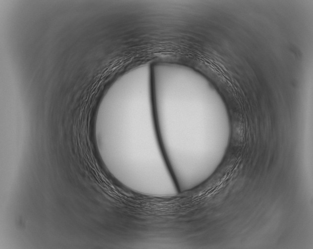 X0000113590817200909181046