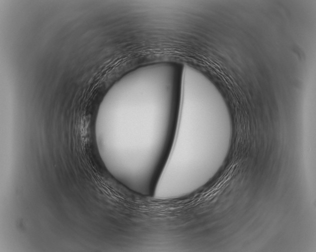 X0000113590818200909181046