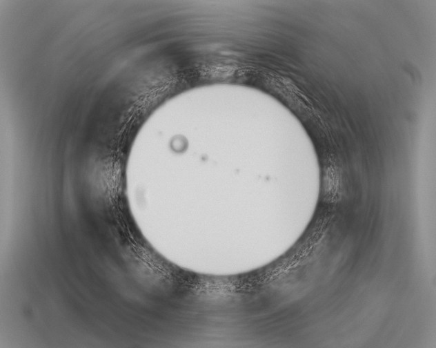 X0000113590820200909181046