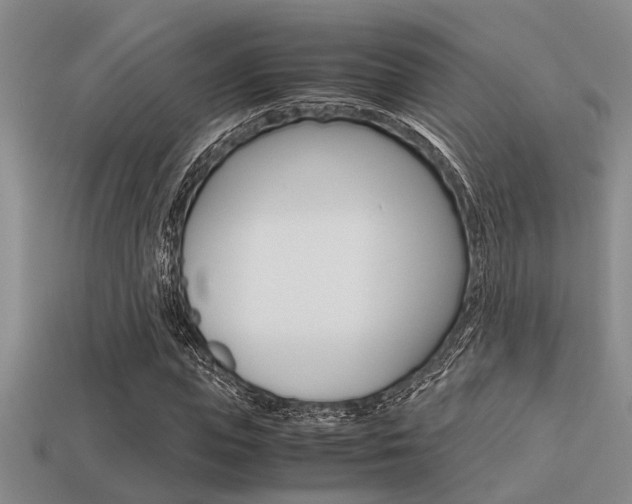 X0000113590823200909181046