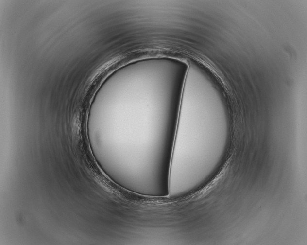 X0000113590826200909181046
