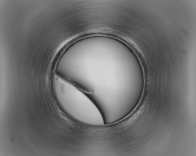 X0000113590830200909181046