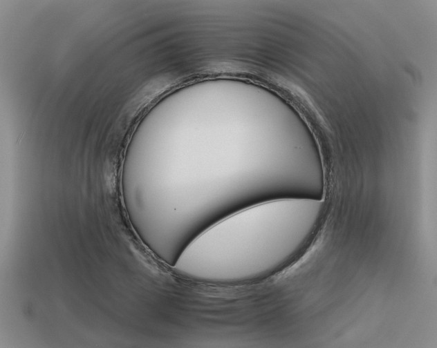 X0000113590833200909181046
