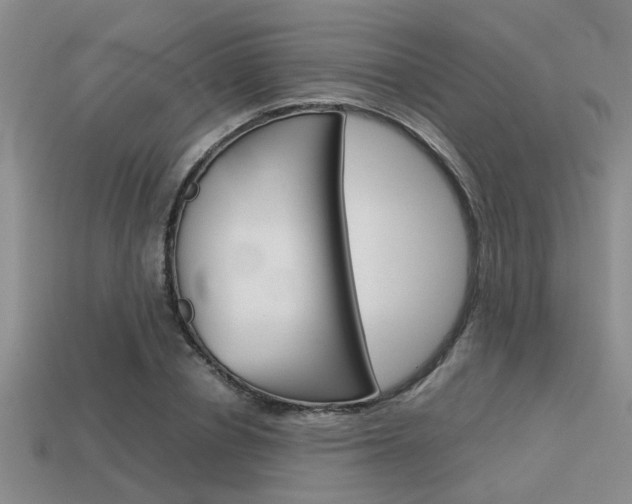 X0000113590834200909181046