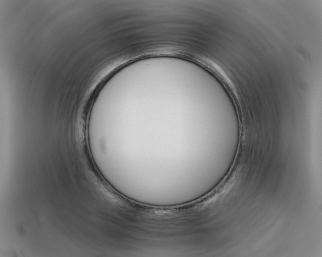 X0000113590835200909181046