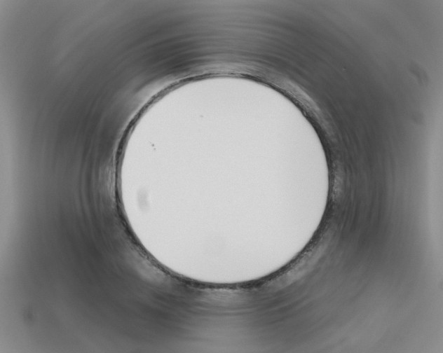 X0000113590836200909181046