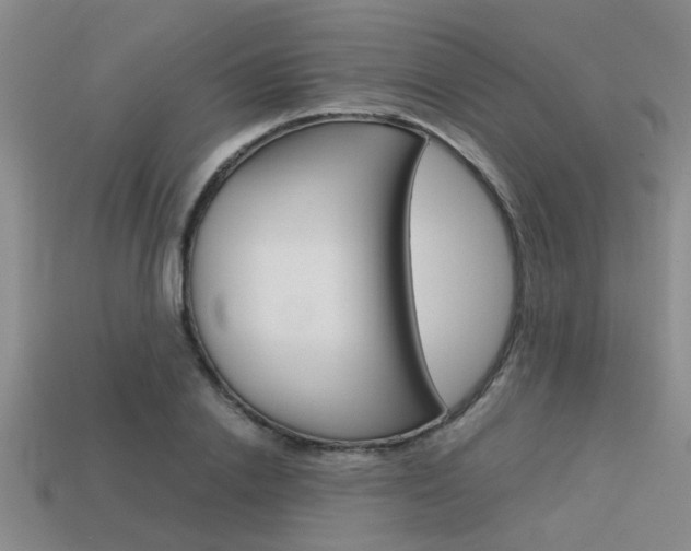 X0000113590838200909181046