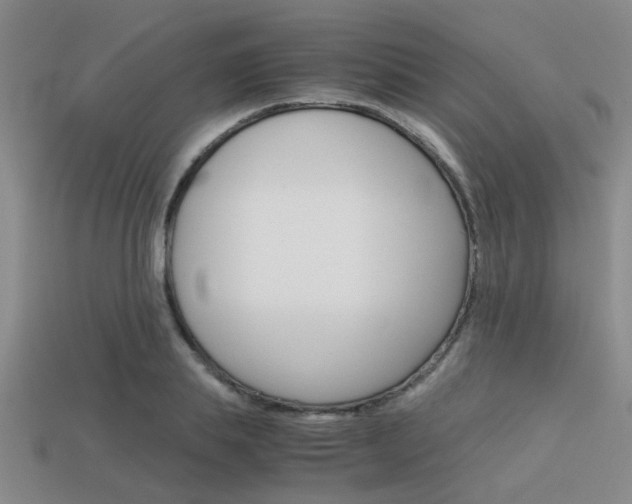 X0000113590839200909181046