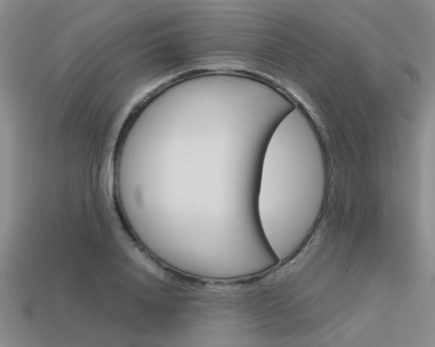 X0000113590840200909181046