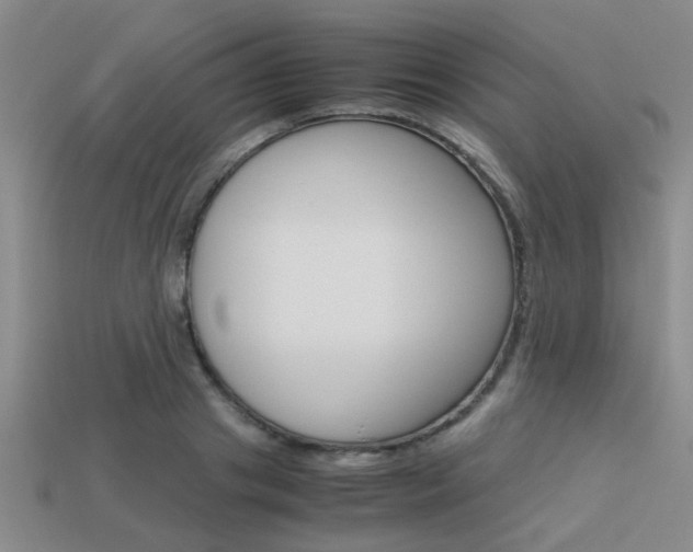 X0000113590841200909181046