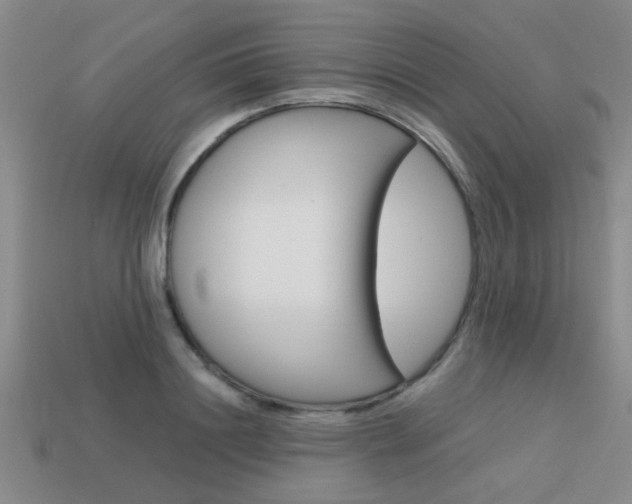 X0000113590844200909181046