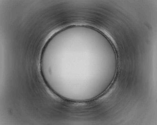 X0000113590845200909181046