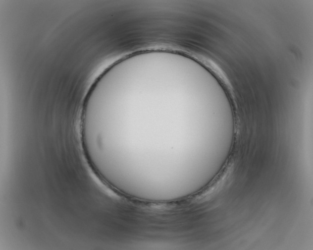 X0000113590847200909181046