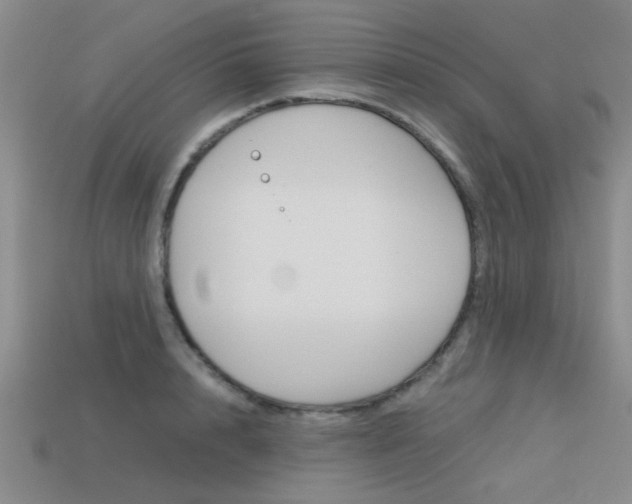 X0000113590848200909181046