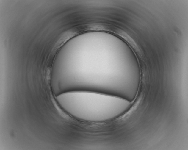 X0000113590849200909181046